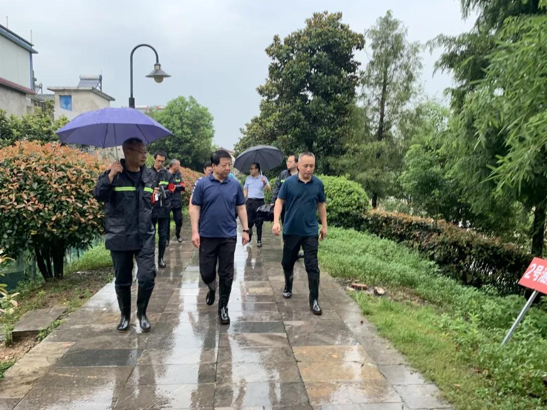 合肥廬江最新汛情及指南速遞