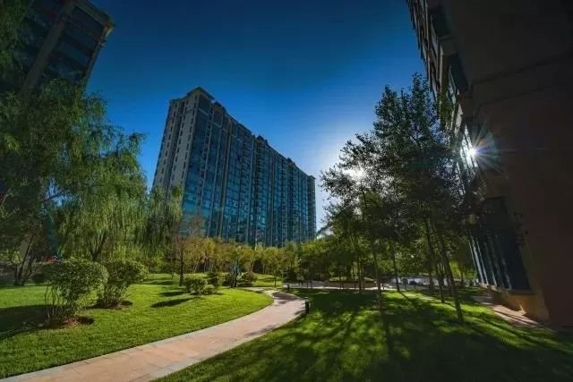 蒲城公園大境最新動態(tài)更新