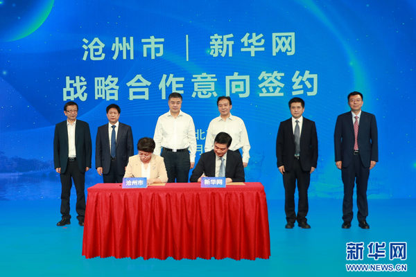 滄州新聞網(wǎng)，城市溫馨日常與深厚友情的最新報(bào)道