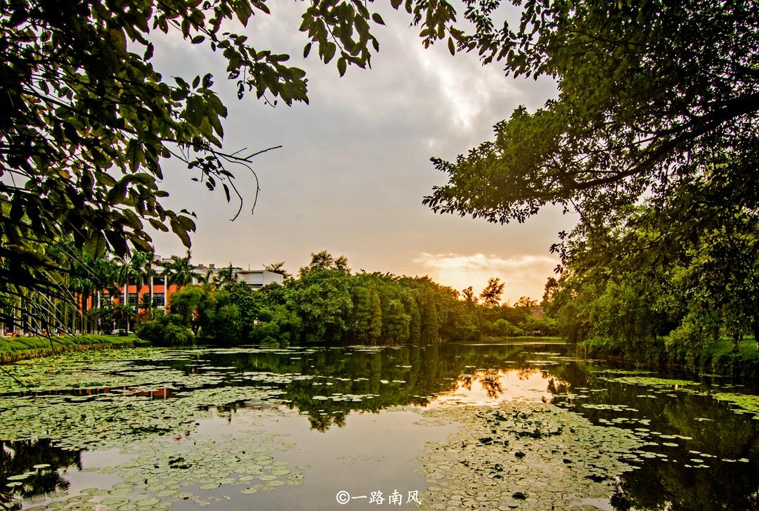 華南海域最新天氣報告，探索自然美景之旅，尋求內心寧靜與平和的旅程