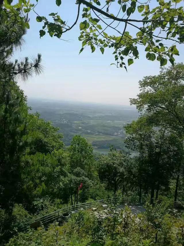 華容縣東山鎮(zhèn)最新項目，引領(lǐng)地區(qū)發(fā)展的強大驅(qū)動力