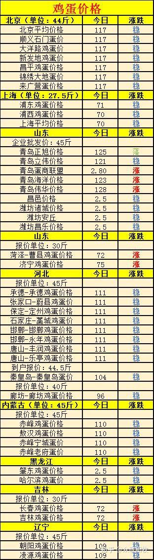 全國(guó)雞蛋最新批發(fā)價(jià)格，友情與陪伴中的溫情故事