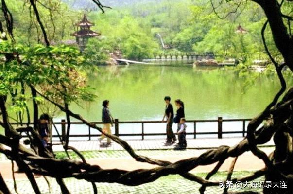 大連白云雁水最新消息概覽，最新動態(tài)與進展速覽