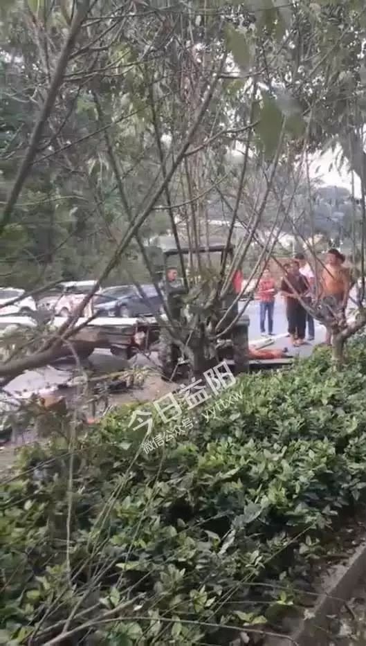 桃江竹海車禍最新進展，背后的力量與希望之光