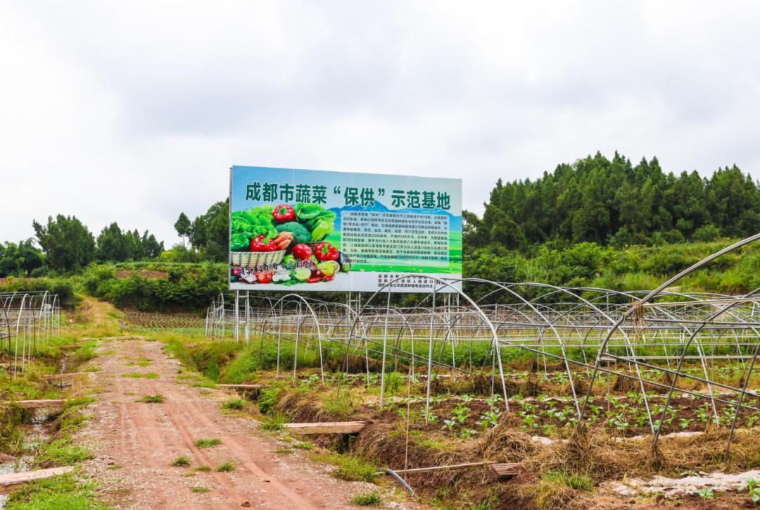 簡陽市江源鎮(zhèn)未來藍圖展望，最新規(guī)劃與未來發(fā)展