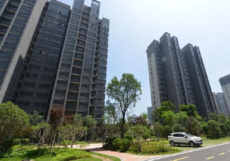 福州臚雷新城最新動(dòng)態(tài)，探索自然美景，尋覓內(nèi)心平靜之旅