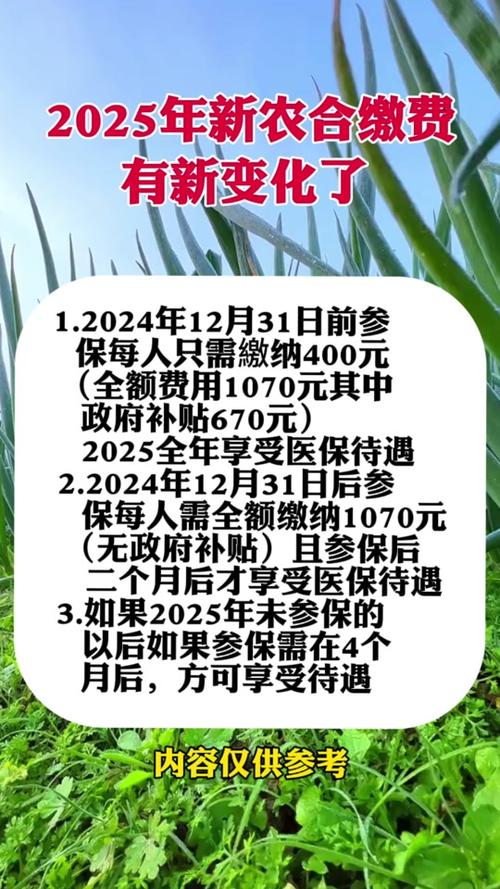 新農合最新政策2025，背景、影響與地位分析