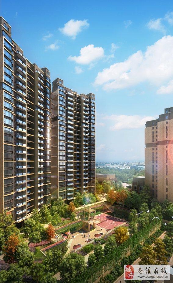 蒼溪帝景豪庭特色小店驚艷小巷深處，最新新聞報道！