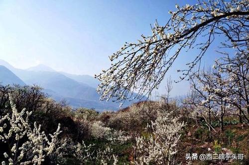 五金沖壓件生產(chǎn)銷售 第28頁(yè)