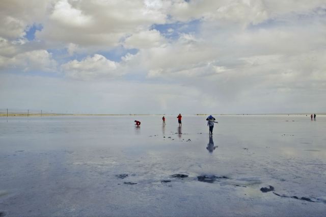 海西9號最新動態(tài)，任務(wù)完成與技能學習指南更新發(fā)布