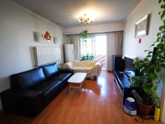 清河縣出租房信息更新，家園變遷與自我成長的自信成就之路