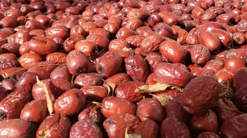 非常完美最新一期音樂盛宴，嗨翻全場的音樂狂歡！