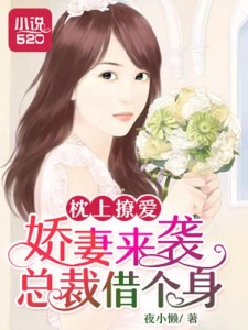 枕上撩妻有道，心動不已的浪漫之旅最新章節(jié)