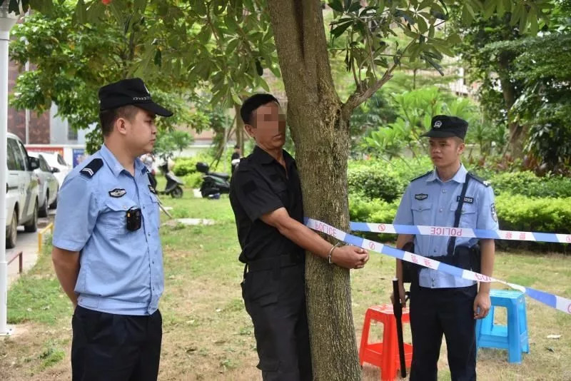 北海打傳辦最新動(dòng)態(tài)及其影響分析，一種觀點(diǎn)的視角