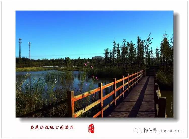 涼灣濕地公園奇妙一日游，最新消息揭秘探險(xiǎn)之旅！