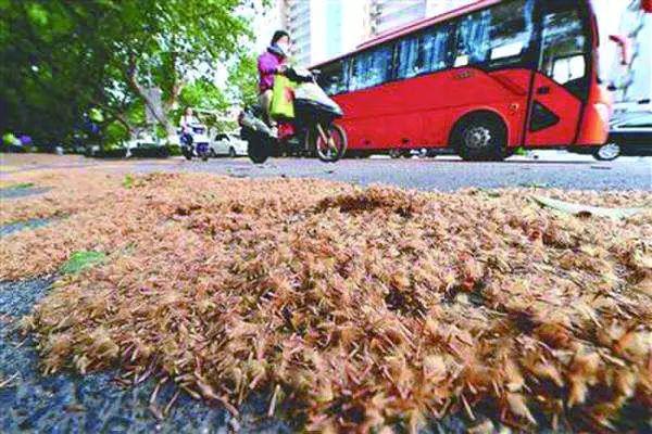 南京招聘網(wǎng)最新招聘信息上線，你的職業(yè)新起點！??南京招聘網(wǎng)全新上線58版?