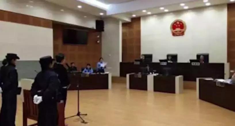 易乾財(cái)富最新消息劉丹，自然美景探索之旅揭秘