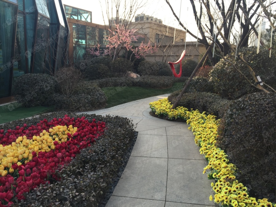 太原翡翠華庭最新動態(tài)揭秘，最新消息匯總????