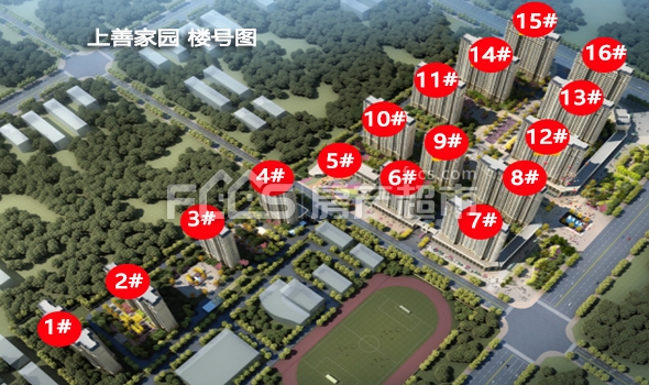 上善璽園最新動(dòng)態(tài)揭秘，小巷里的隱藏寶藏新發(fā)現(xiàn)