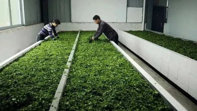 茶碾公路最新進展詳解，入門到精通的全方位指南