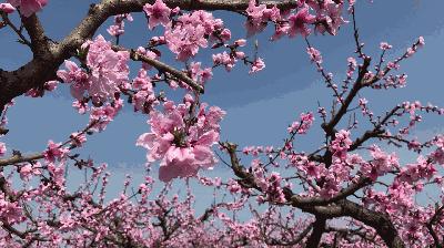 榆中縣新世界最新房價，夢想躍動的起點