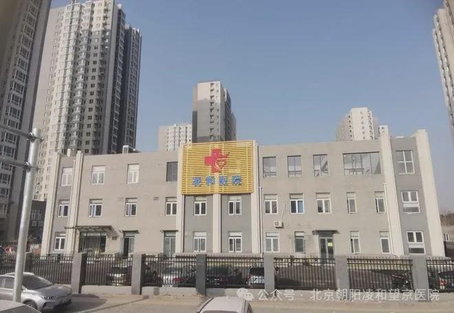 東壩福滿園，小巷特色小店的獨(dú)特魅力與最新消息揭秘