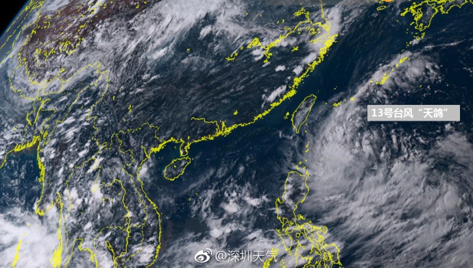 臺風(fēng)天鴿來襲，深圳家中的溫馨日常趣事與最新應(yīng)對消息