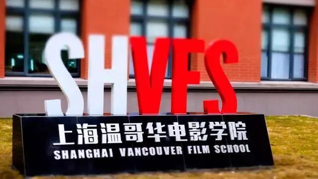 魯泰集團最新招聘啟事，職位空缺與職業(yè)發(fā)展機會