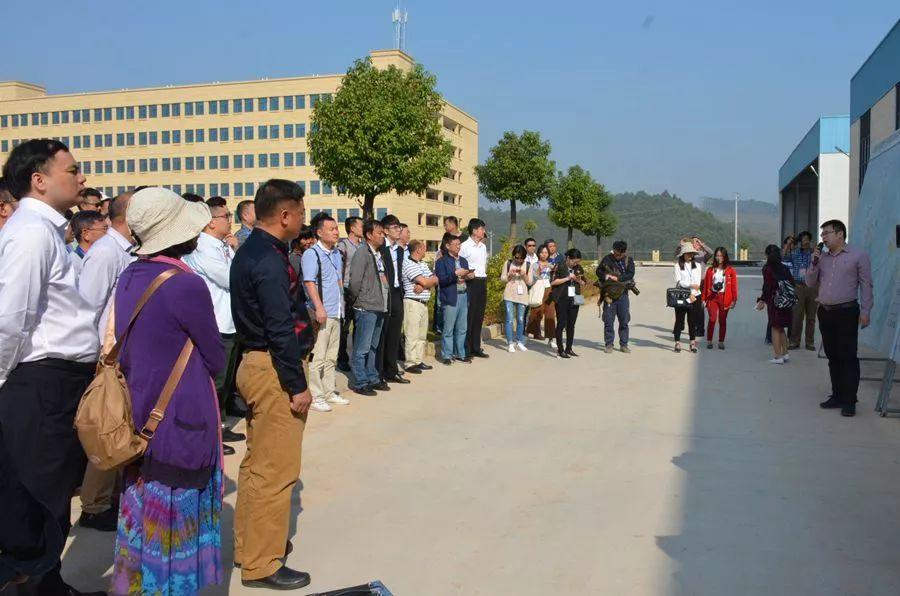 扶綏空港區(qū)最新進(jìn)展及影響，一種觀點(diǎn)深度解析