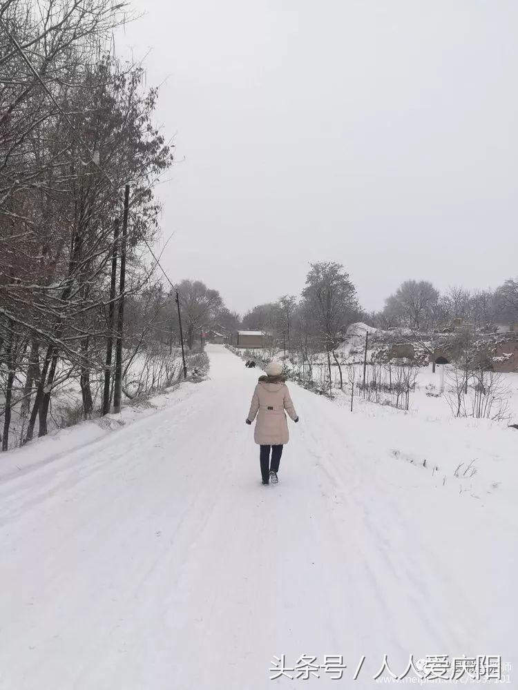 寧縣和盛鎮(zhèn)最新消息概覽，最新動態(tài)與指南