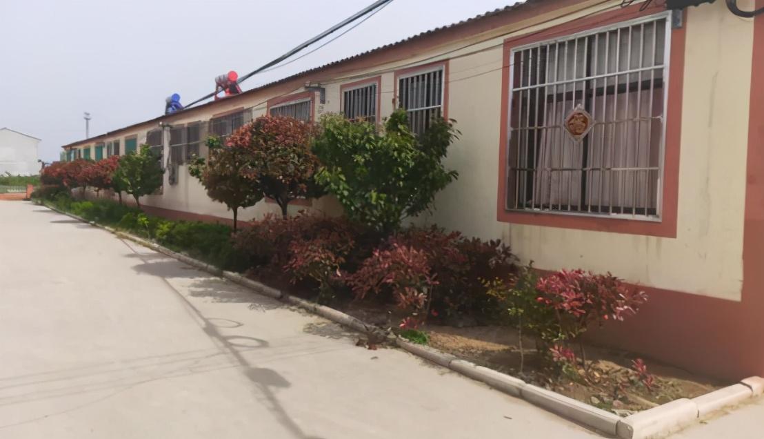 蕭縣扶貧辦最新政策解讀與小巷特色小店探秘