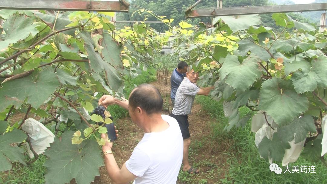 筠連巡司新聞最新動態(tài)更新