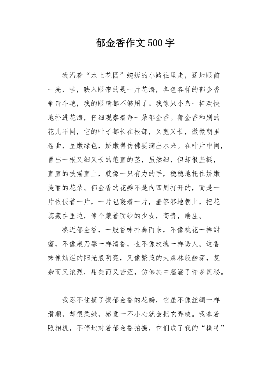 我的郁金香女友最新章節(jié)，情感與成長的交織旅程