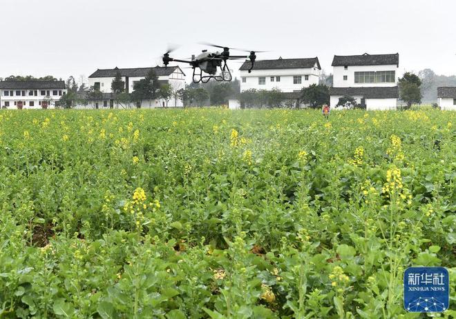 廣安市花橋鎮(zhèn)最新新聞及獲取指南，輕松掌握本地新聞技能