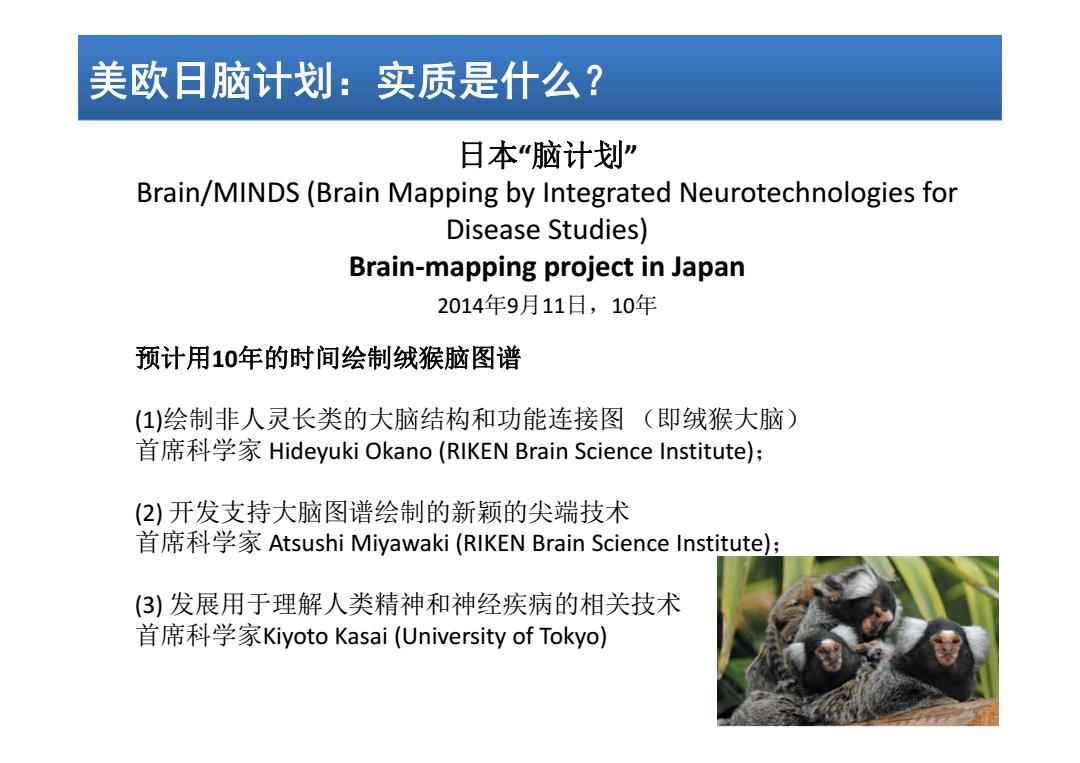 日本腦計劃最新進展揭秘，溫馨日常的新突破