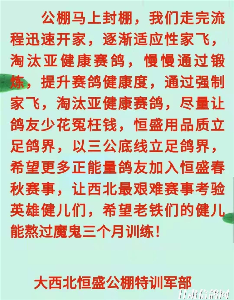 恒翔賽鴿公棚最新公告，展翅翱翔，共舞變化，自信筑夢未來！