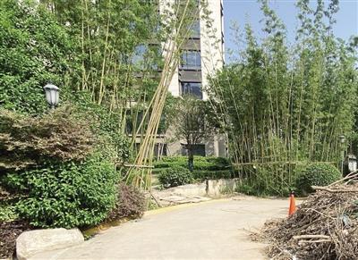 楓林九溪房子最新動態(tài),重磅更新消息??