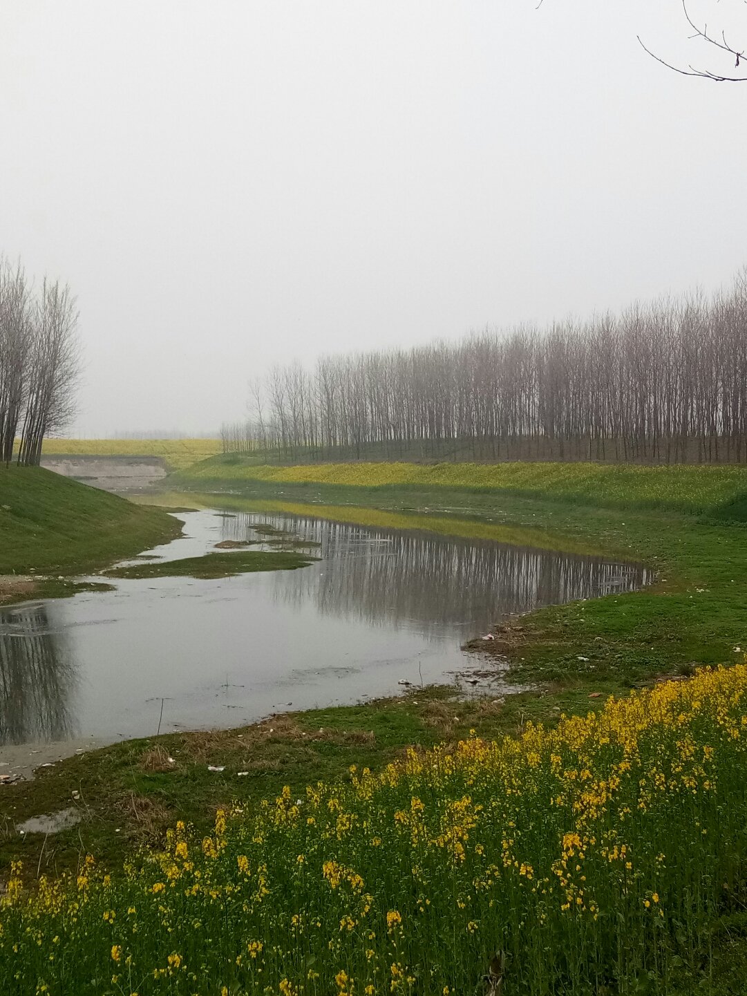 平輿縣天氣預(yù)報更新，陽光與氣象變化帶來自信與力量