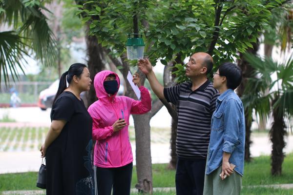 漯河黑龍?zhí)兑?guī)劃揭秘，最新藍圖與奇遇溫情的融合