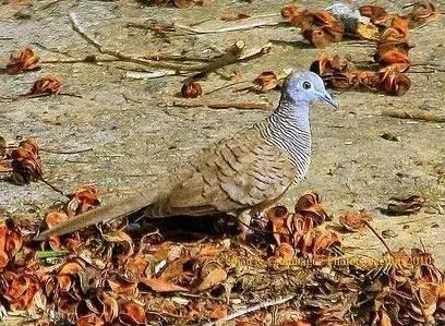 金屬沖壓模具的加工銷售 第12頁