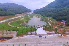 陽江森林公園最新動(dòng)態(tài)更新，最新消息匯總