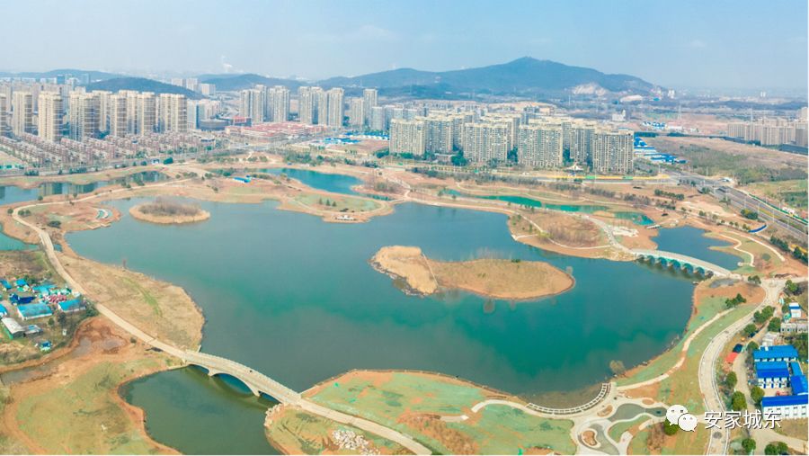 ??仙林湖公園最新動態(tài)更新??