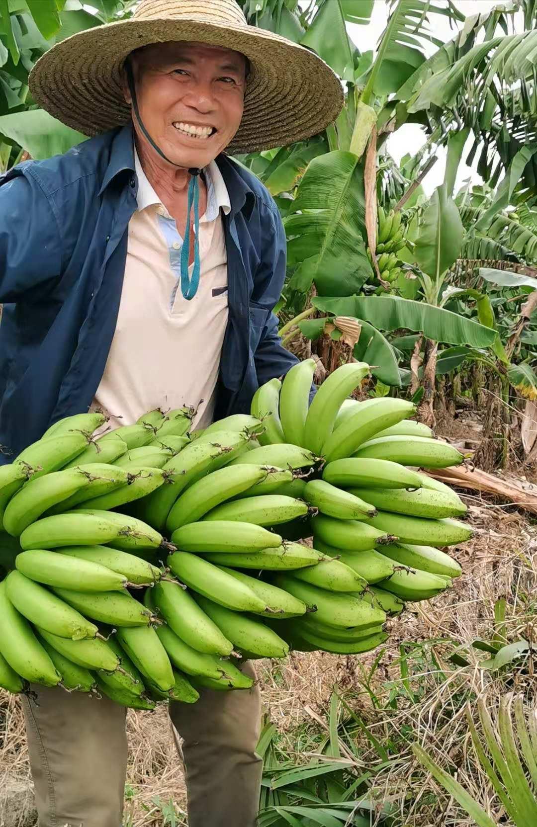 吳川新聞蘭石最新消息全解析，獲取指南助力初學者與進階用戶