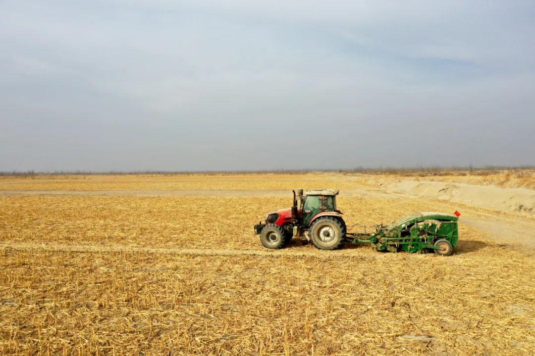 ??最新滴灌帶回收機(jī)助力農(nóng)業(yè)可持續(xù)發(fā)展??高效循環(huán)利用滴灌帶資源