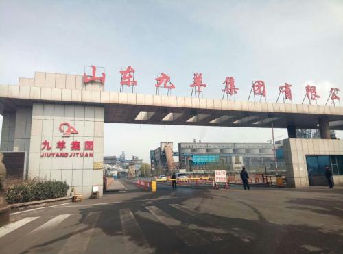 山東九羊公司蓬勃發(fā)展，引領(lǐng)行業(yè)新潮流，最新消息揭秘發(fā)展動(dòng)態(tài)