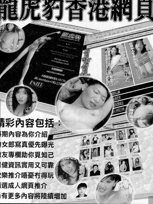 香港龍虎豹最新地址揭秘，探索自然美景，尋覓內(nèi)心寧靜之旅